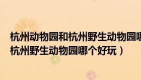 杭州动物园和杭州野生动物园哪个好玩一点（杭州动物园和杭州野生动物园哪个好玩）