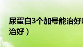 尿蛋白3个加号能治好吗（尿蛋白3个加号能治好）