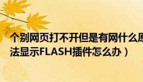 个别网页打不开但是有网什么原因无法显示此网页（网页无法显示FLASH插件怎么办）