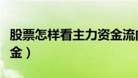 股票怎样看主力资金流向（股票怎样看主力资金）