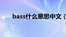 bass什么意思中文（bass什么意思）