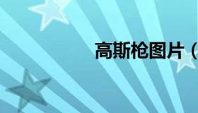 高斯枪图片（高斯枪）