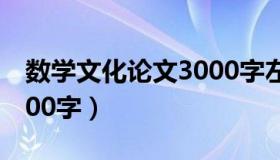 数学文化论文3000字左右（数学文化论文3000字）