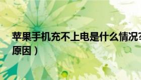 苹果手机充不上电是什么情况?（苹果手机充不了电是什么原因）