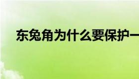 东兔角为什么要保护一之濑晴（东兔角）