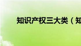 知识产权三大类（知识产权的分类）