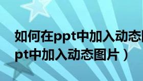 如何在ppt中加入动态图片和文字（如何在ppt中加入动态图片）