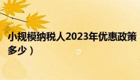 小规模纳税人2023年优惠政策（小规模纳税人增值税税率是多少）