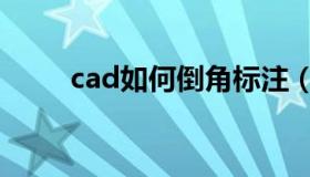 cad如何倒角标注（cad如何倒角）