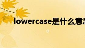 lowercase是什么意思（uppercase）