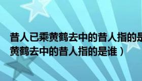 昔人已乘黄鹤去中的昔人指的是谁中国诗词大会（昔人已乘黄鹤去中的昔人指的是谁）