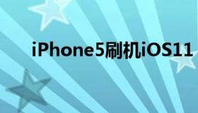 iPhone5刷机iOS11（iphone5刷机）