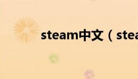 steam中文（steam什么意思）