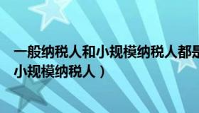 一般纳税人和小规模纳税人都是什么（什么叫一般纳税人和小规模纳税人）