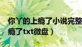 你丫的上瘾了小说完整未删减版txt（你丫上瘾了txt微盘）