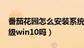 番茄花园怎么安装系统（番茄花园win7能升级win10吗）