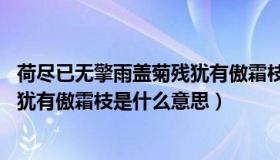 荷尽已无擎雨盖菊残犹有傲霜枝 全诗（荷尽已无擎雨盖菊残犹有傲霜枝是什么意思）