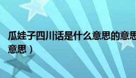 瓜娃子四川话是什么意思的意思 新闻（瓜娃子四川话是什么意思）