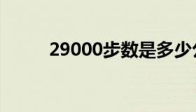 29000步数是多少公里（29000）