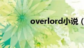 overlord小说（overlord）