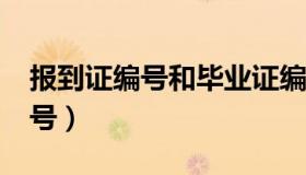 报到证编号和毕业证编号一样吗?（报到证编号）