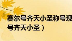 赛尔号齐天小圣称号现在怎么得2023（赛尔号齐天小圣）