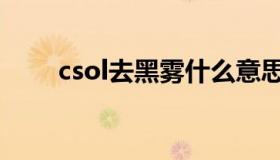 csol去黑雾什么意思（csol去黑雾）