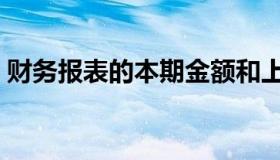 财务报表的本期金额和上期金额（上期金额）