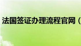 法国签证办理流程官网（法国签证办理流程）