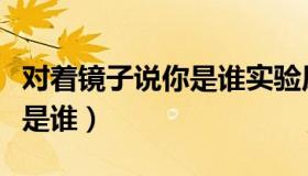 对着镜子说你是谁实验原视频（对着镜子说你是谁）