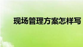 现场管理方案怎样写（现场管理方案）