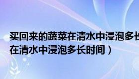 买回来的蔬菜在清水中浸泡多长时间可以吃（买回来的蔬菜在清水中浸泡多长时间）