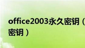 office2003永久密钥（office2003全免费版密钥）