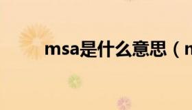 msa是什么意思（ms是什么意思）