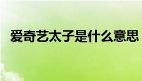 爱奇艺太子是什么意思（太子是什么意思）