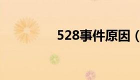 528事件原因（528事件）