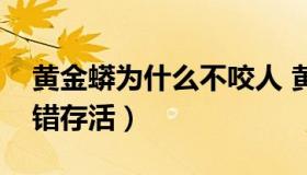 黄金蟒为什么不咬人 黄金蟒为什么野外不能错存活）