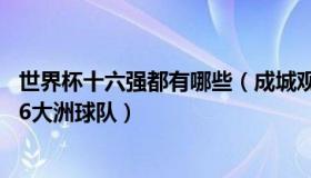 世界杯十六强都有哪些（成城观天下：世界杯16强首次集齐6大洲球队）