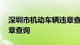 深圳市机动车辆违章查询 深圳交警机动车违章查询