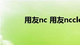 用友nc 用友nccloud使用手册