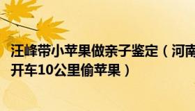 汪峰带小苹果做亲子鉴定（河南喜子2019：山东女子带亲友开车10公里偷苹果）