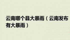 云南哪个县大暴雨（云南发布：湖北河南等9省市部分地区有大暴雨）