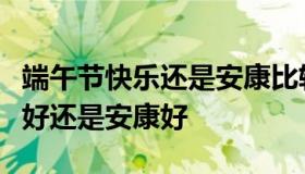 端午节快乐还是安康比较好（端午节是说快乐好还是安康好