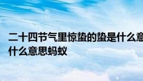 二十四节气里惊蛰的蛰是什么意思 二十四节气中惊蛰的蛰是什么意思蚂蚁