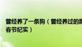 曾经养了一条狗（曾经养过的那条狗：疫情三年后农村首个春节纪实）