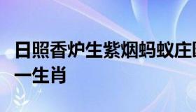 日照香炉生紫烟蚂蚁庄园（日照香炉生紫烟猜一生肖