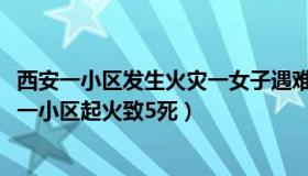 西安一小区发生火灾一女子遇难（朱朱9260：官方通报西安一小区起火致5死）