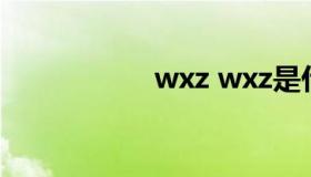 wxz wxz是什么意思