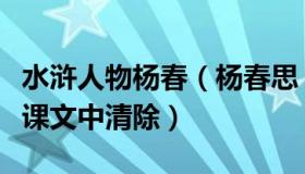 水浒人物杨春（杨春思：网民称《水浒》应从课文中清除）