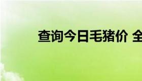 查询今日毛猪价 全国今日毛猪价